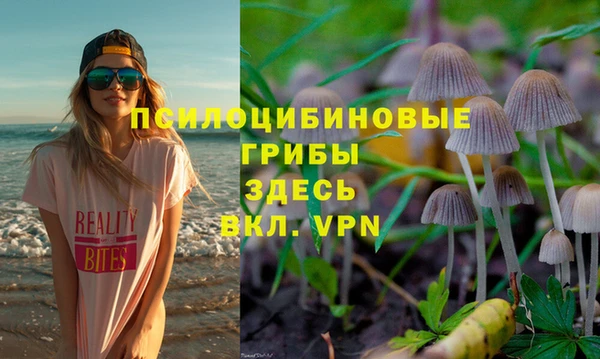 винт Аркадак