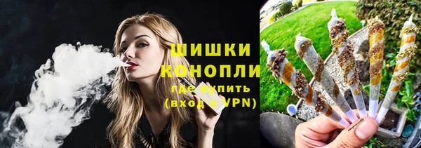 крисы Новодвинск